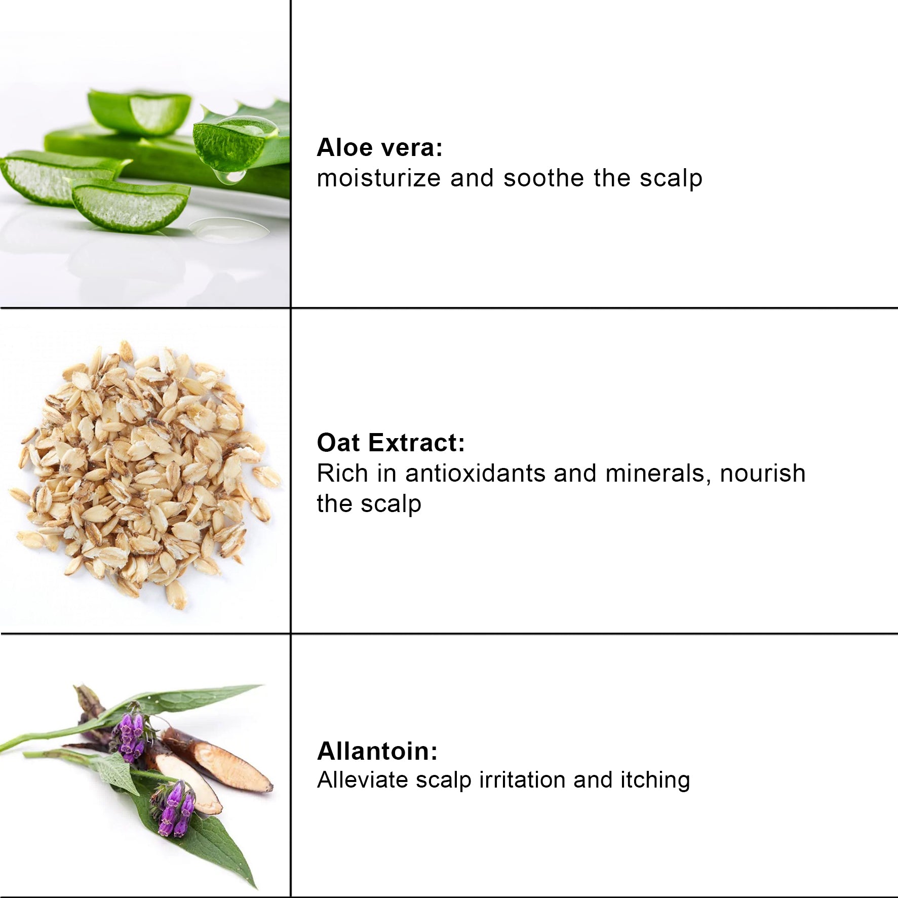 Shampooing Doux Avoine + Aloe image 1