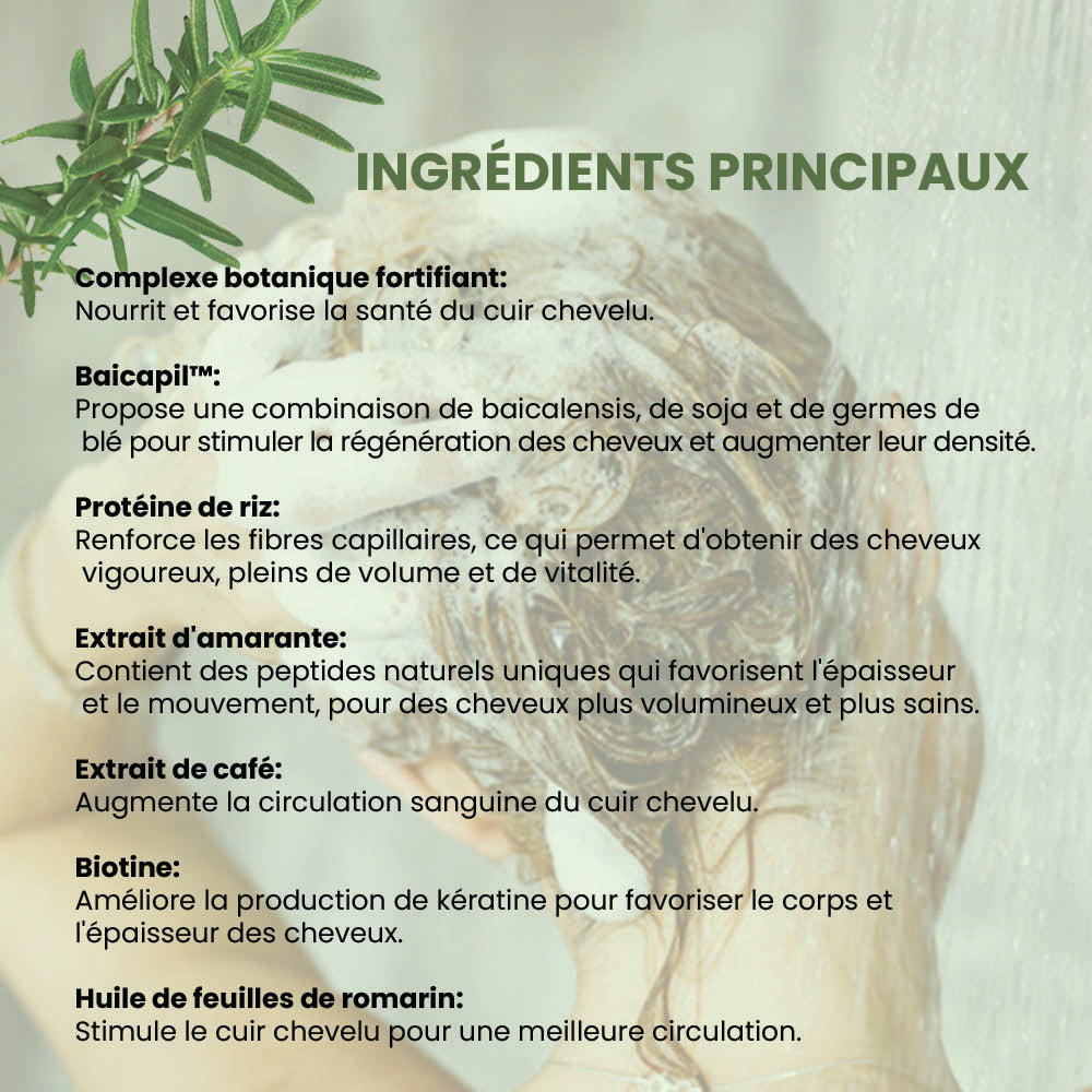 Trio Densifiant pour Cheveux Clairsemés | Shampooing, revitalisant et sérum image 1