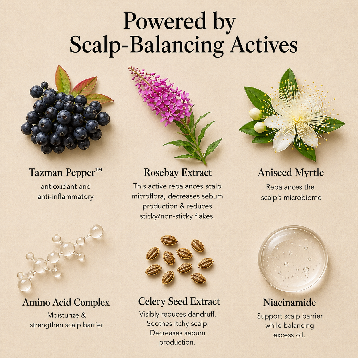 Rebalancing Scalp Serum